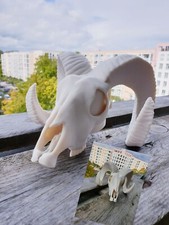 Abdeckkappe AHK DODGE RAM WIDDER SKULL Schutzkappe - MIT DIEBSTAHLSCHUTZ 