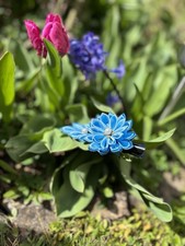 Handgemachte Haarspange Blume