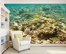 3D Meer Steine Fische Q7418