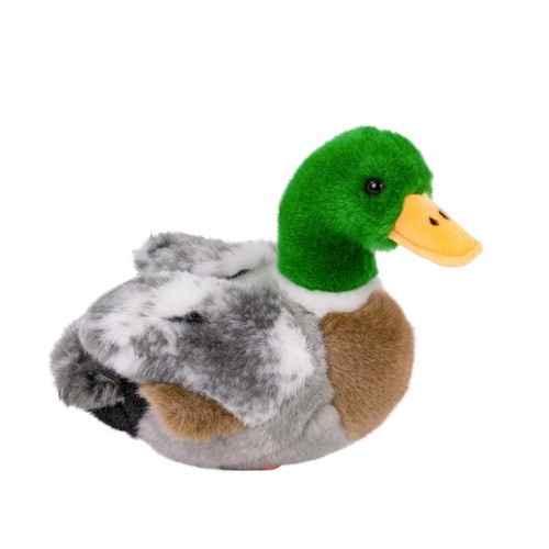 Kuscheltier ente - kuscheltier,