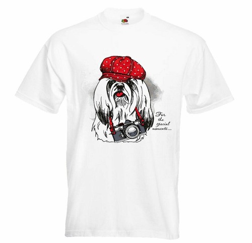 Shirt malteser yorksterrier - t-shirt,