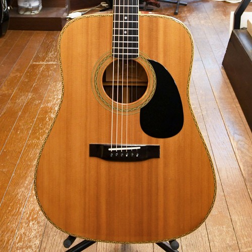Yairi yw500 - yairi, (nr260806)