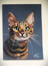 Cat Bengal Katze Zeichnung von