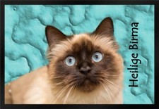 Fußmatte Schmutzfangmatte Katze Rassekatze Heilige Birma F1222	