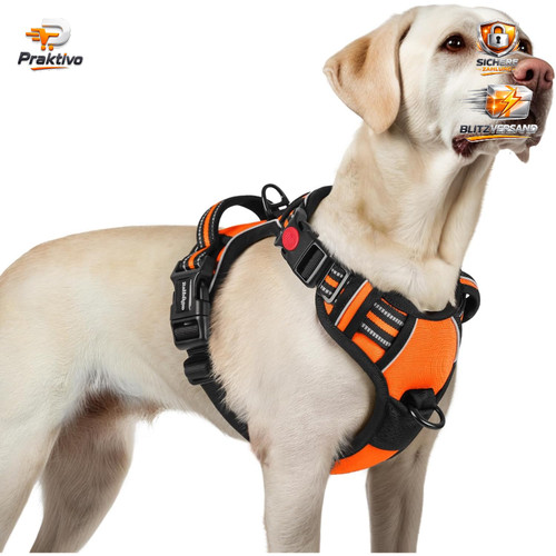 Hundegeschirr verstellbar - hundegeschirr,