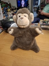 Süßer Schimpanse Von Suzy