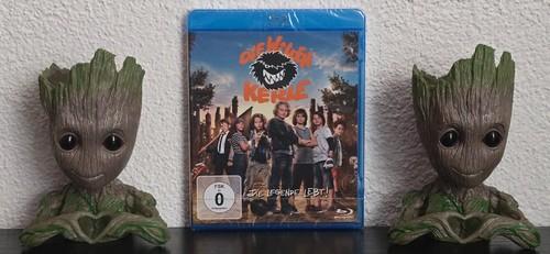 Die wilden kerle - die, 6