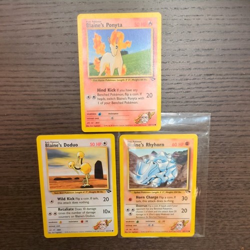 Wotc pokémon tcg gym - pokémon,