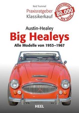 Austin Healey von Reid Trummel