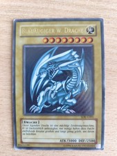 Blauäugiger w. Drache
