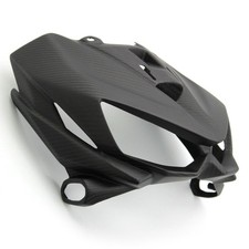 Carbon Frontverkleidung für