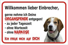 Schild S0413 Vorsicht Beagle