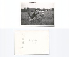 (n782426)   amerikanische