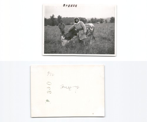 Amerikanische - (n782426),
