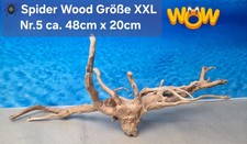 👋XXL Moorkien - Spiderwood