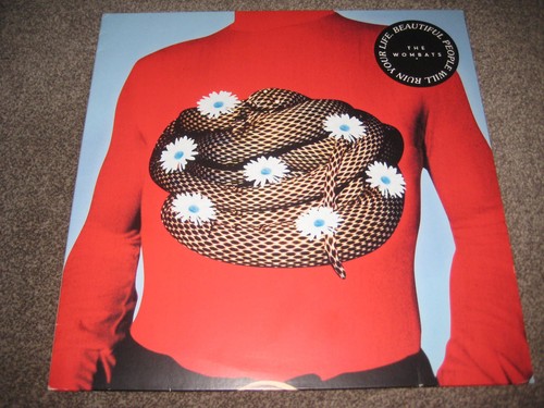 The wombats beautiful people - wombats,