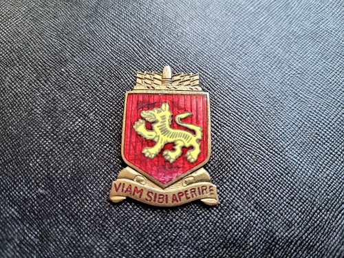 Vintage militär dui - vintage, pin