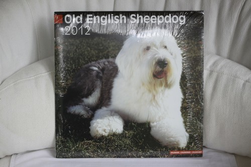 Hunde old english - hunde,, sheep