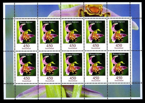 Bund blumen 450 - blumen, mi.
