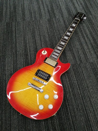 Epiphone les paul standard pro - epiphone,
