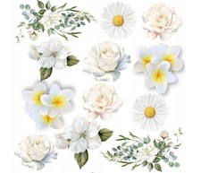 Weiße Blumen Zierblumen