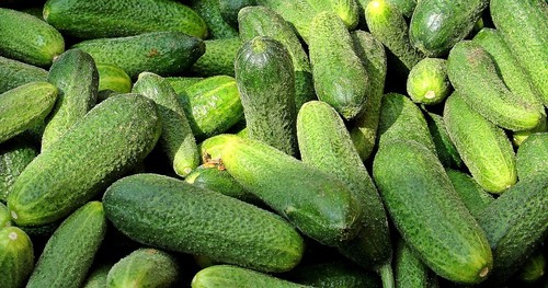 Delikatess einlegegurke - delikatess,