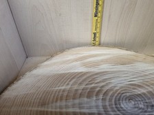 Holzscheiben aus Eibenholz ca 30 cm  Durchmesser und ca 3 cm  stark