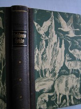 Hermann Löns: GOLDENE HEIDE - Tier- u. Jagdgeschichten - Jäger, Natur, Abenteuer