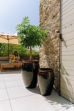 Blumentopf Terrakotta Stil