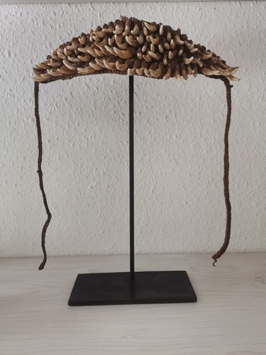 Hundezahn stirnband neuguinea - stirnband,