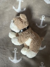 Bulldogge Mops Hund mit