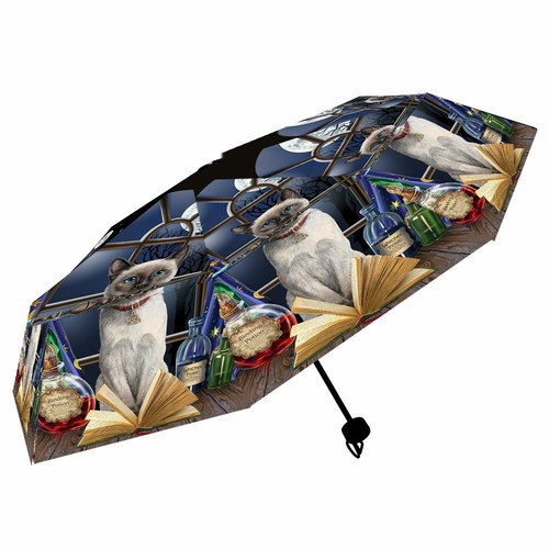 Fantasy regenschirm schirm - regenschirm,