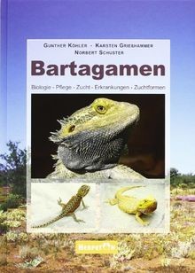 Bartagamen biologie pflege - bartagamen:,