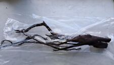 Filigranes kienholz gr.1 Moorkienholz Aquariumwurzel Wurzel 200-650Gr.