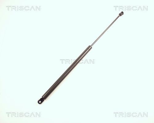 Triscan gasfeder hinten für - gasfeder,
