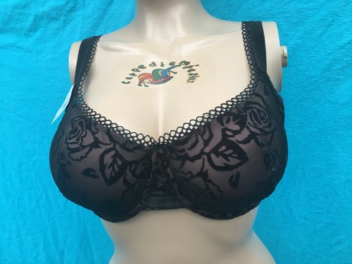 Triumph velvet rose - triumph,