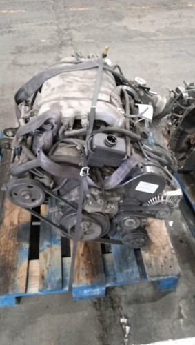 Kompletter motor 425059 für - motor,