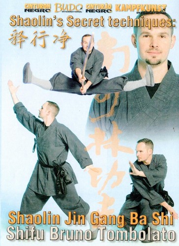 Shaolin secret techniques - techniques,