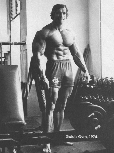 Arnold schwarzenegger - arnold,