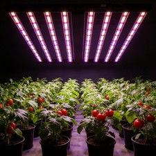 600w 1000w led wachstumlampe - 600w-1000w,