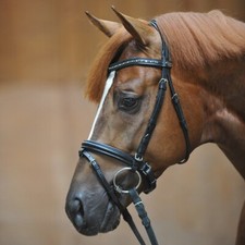 % Kavalkade Trense Caprice UVP