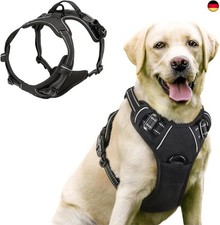 Hundegeschirr für Kleine