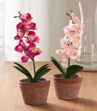 Kunstpflanze Kunstblume Orchidee im Topf, 25cm, 2x künstliche Pflanze wie echt
