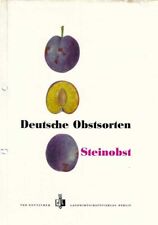 Obstbau/Pomologie -Krümmel u.a.Deutsche Obstsorten - Steinobst