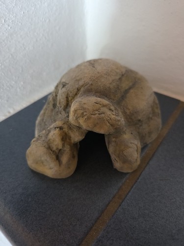 Exo terra terrarien höhle - terrarien,
