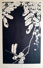 ITO JAKUCHU Glyzinie Libelle