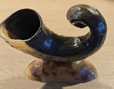 Widderhorn auf Sockel aus Island Wikinger Horn
