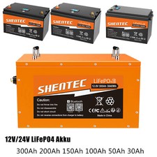 24V/12V LiFePO4 Akku 300Ah