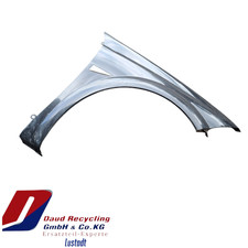 Renault Megane 2 CC Kotflügel