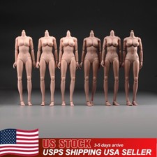 USA 1/6 Female Pale Suntan